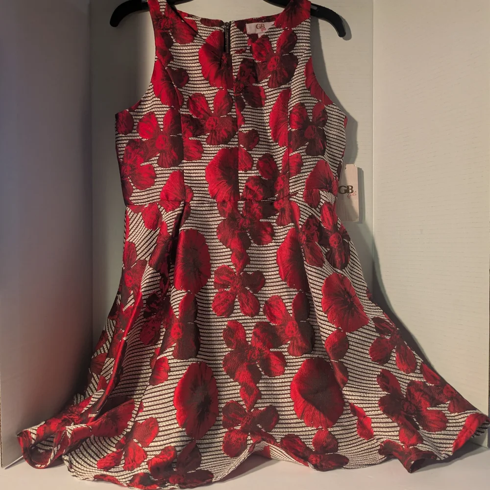 GB Girls Red Floral Formal Dress - Picture 1 of 1